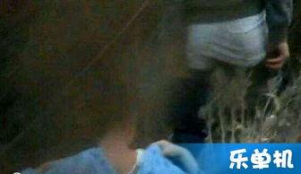 国产野战视频,展现中国军人英勇风采与实战智慧