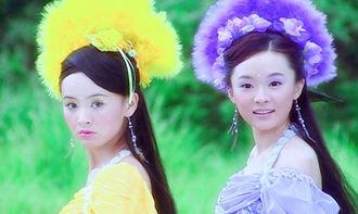 七仙女下凡电视剧全集,仙凡恋曲，传奇再现